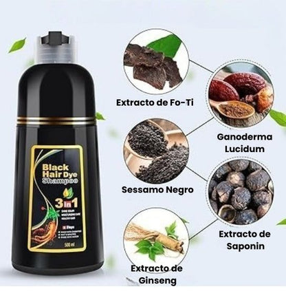 Shampoo Disar: Reparación y Protección en Cada Aplicación 🌿
