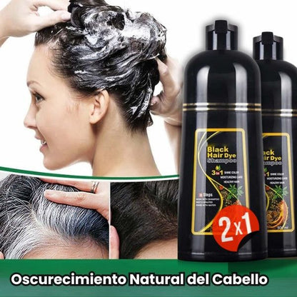 Shampoo Disar: Reparación y Protección en Cada Aplicación 🌿