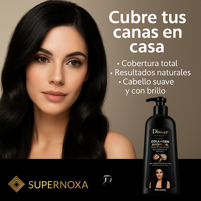 Shampoo Disar: Reparación y Protección en Cada Aplicación 🌿
